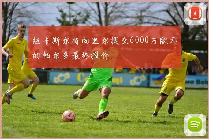 纽卡斯尔将向里尔提交6000万欧元的帕尔多最终报价